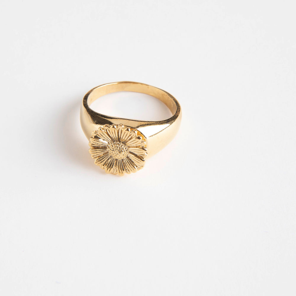 Anillo Cleo